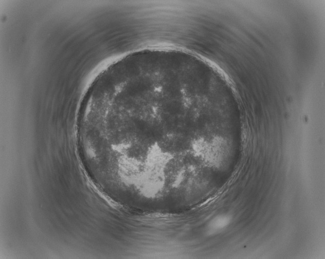 X0000081601327200702051319