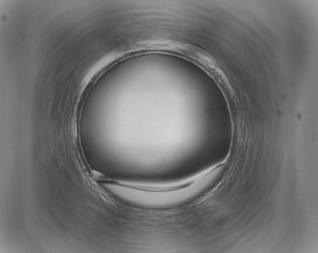 X0000081601328200702051319