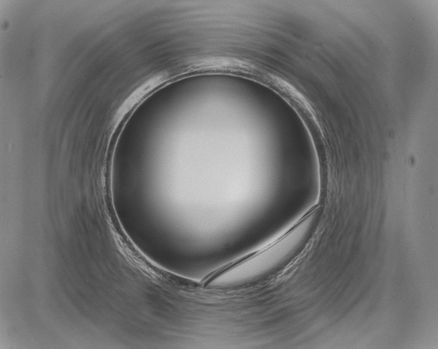 X0000081601330200702051319