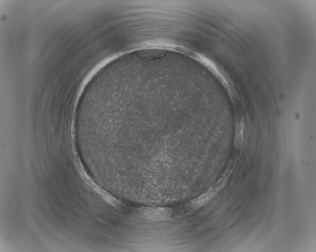 X0000081601331200702051319