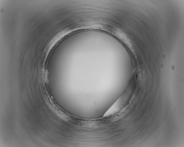 X0000081601332200702051319