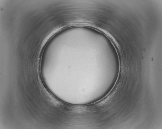 X0000081601333200702051319