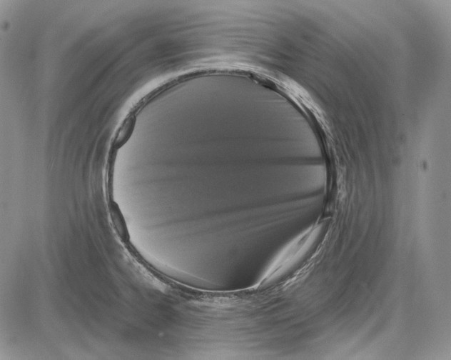 X0000081601334200702051319