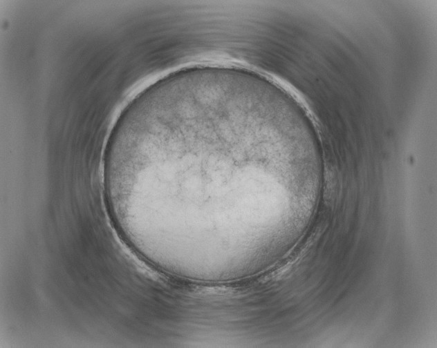 X0000081601335200702051319