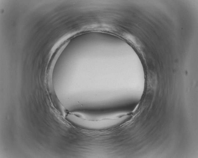 X0000081601336200702051319