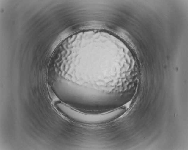 X0000081601337200702051320