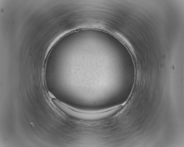 X0000081601340200702051320