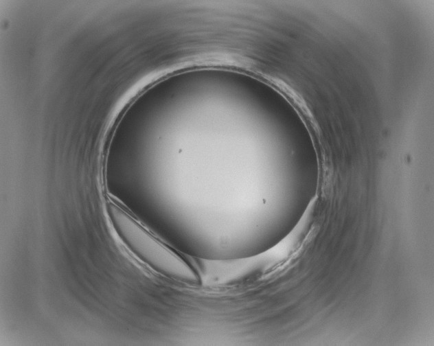 X0000081601342200702051320