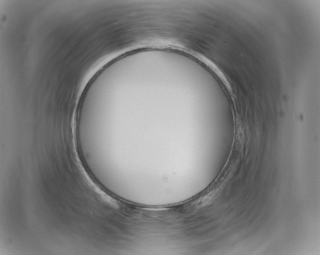 X0000081601343200702051320