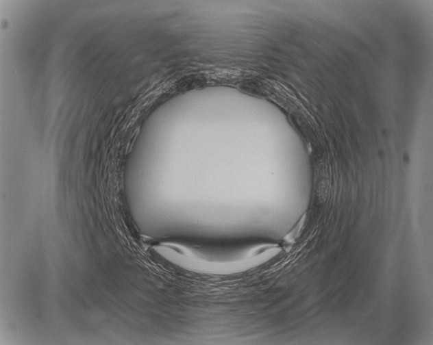 X0000081601345200702051319