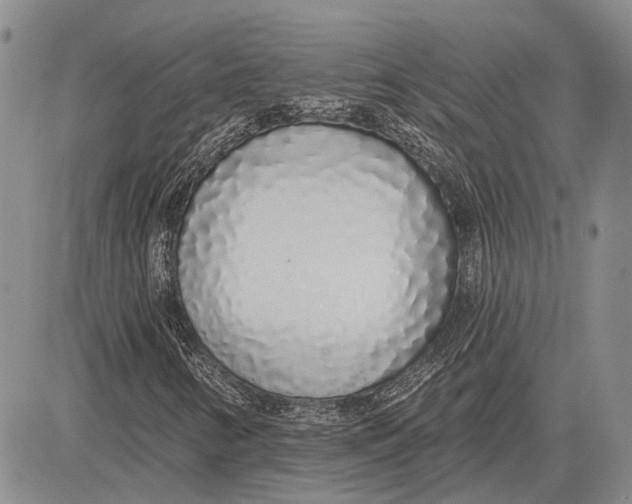 X0000081601346200702051319