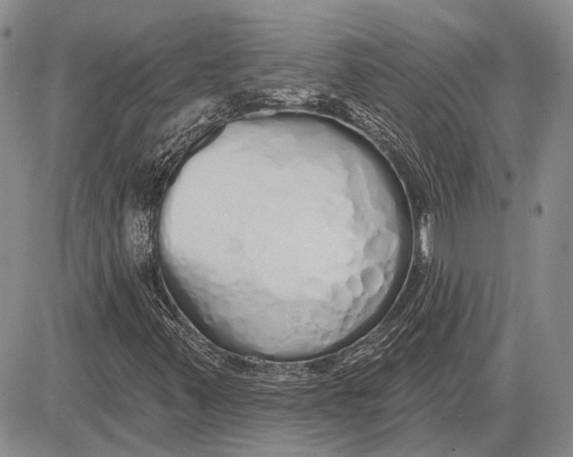 X0000081601347200702051319