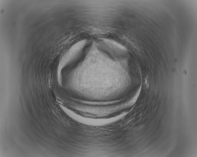 X0000081601348200702051319