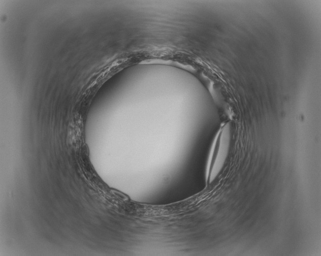 X0000081601349200702051319