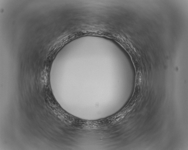 X0000081601350200702051319