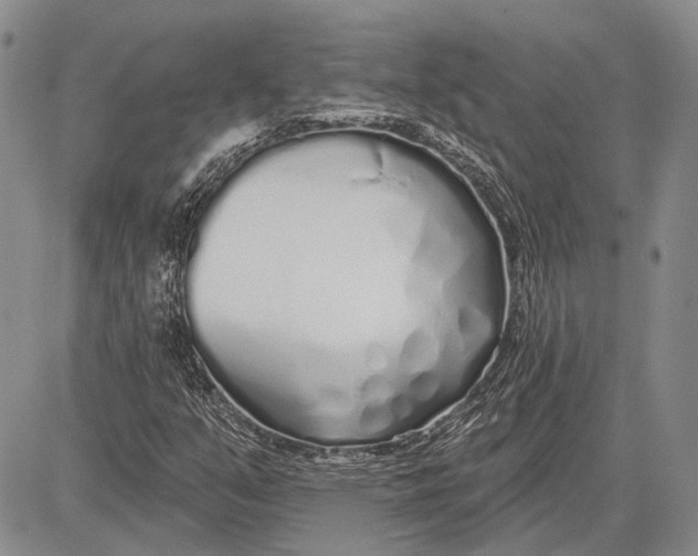 X0000081601351200702051319