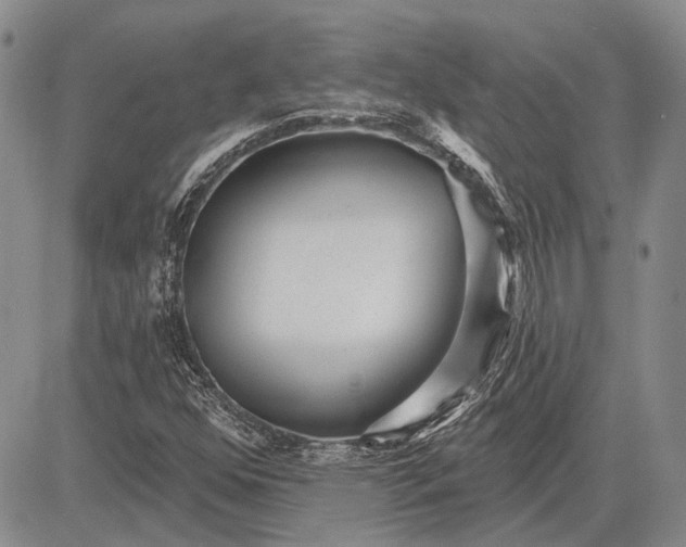 X0000081601352200702051319