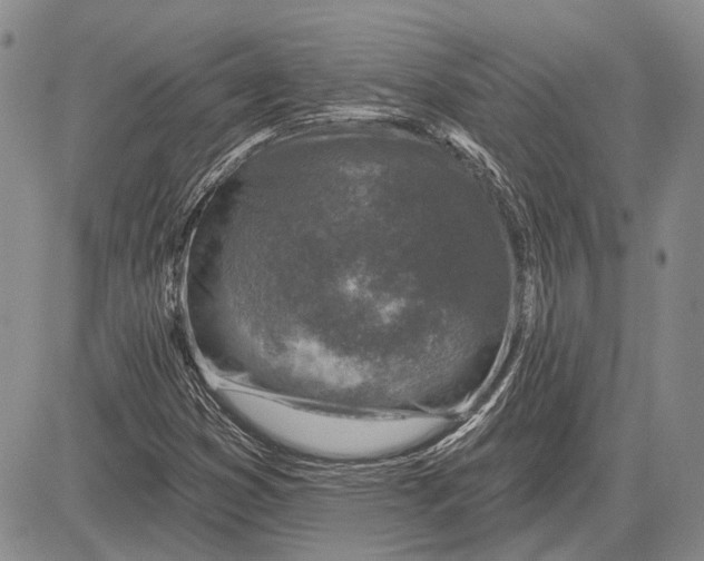 X0000081601353200702051319