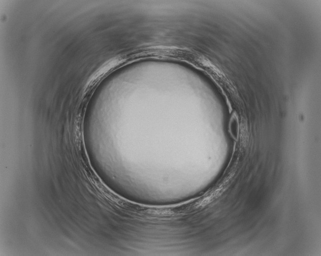 X0000081601354200702051319