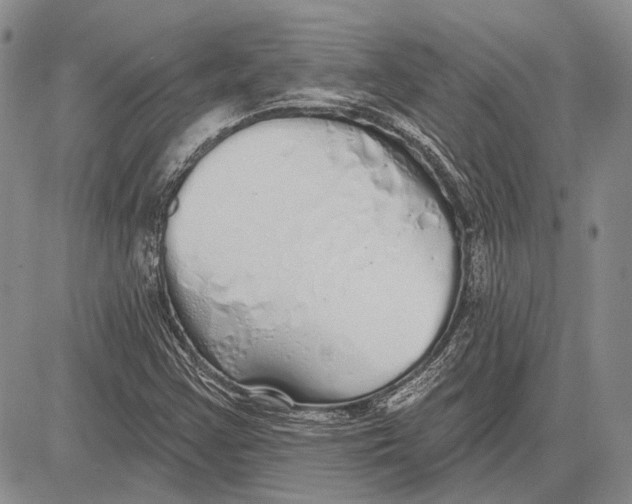 X0000081601355200702051319