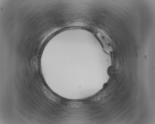 X0000081601356200702051319