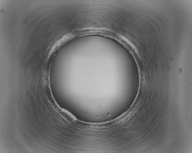 X0000081601357200702051319