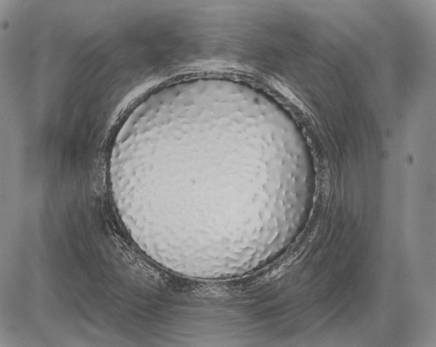 X0000081601358200702051319