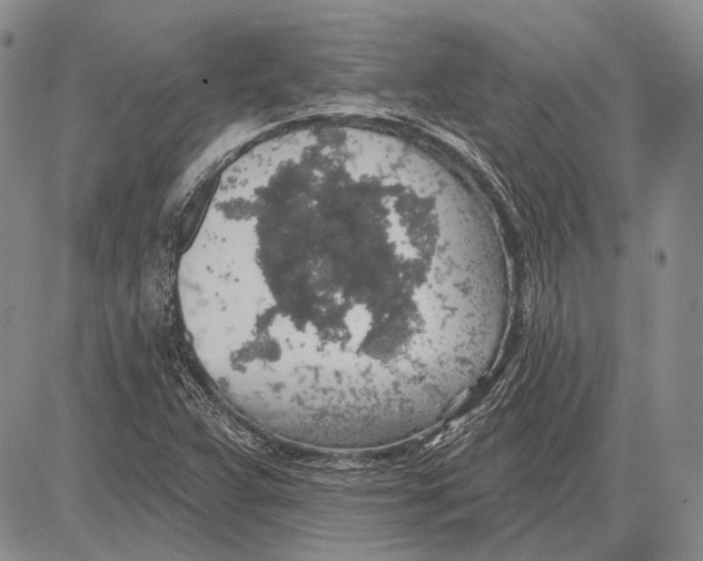 X0000081601359200702051319