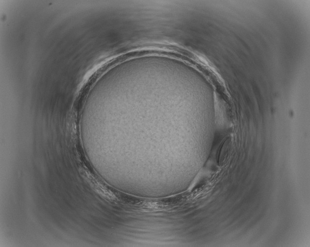 X0000081601360200702051319