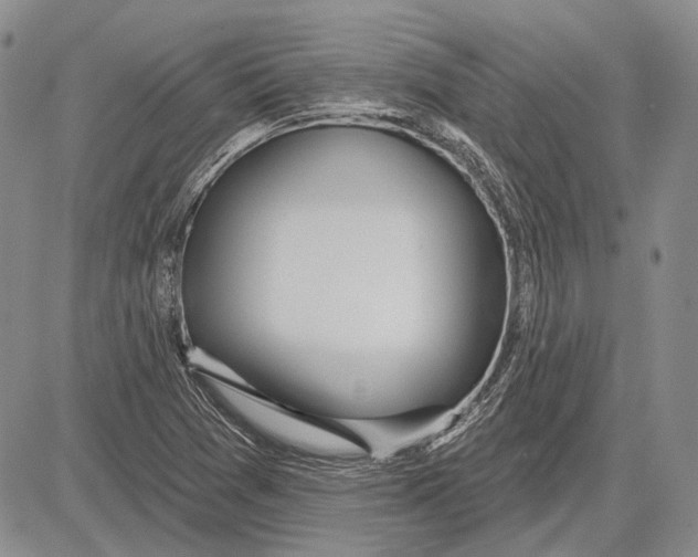 X0000081601361200702051319