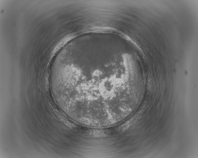 X0000081601362200702051319