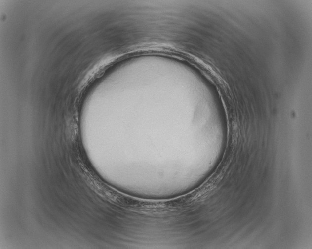 X0000081601363200702051319