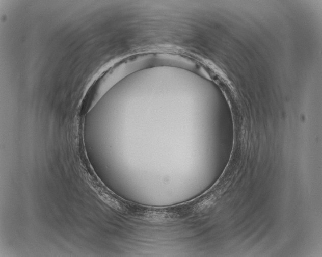 X0000081601364200702051319