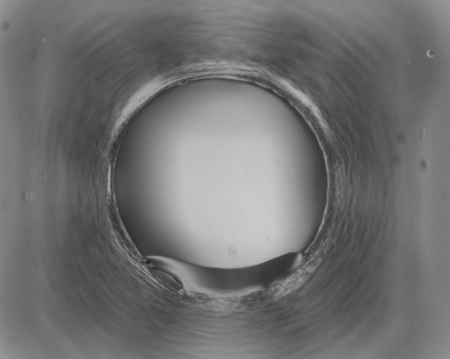 X0000081601365200702051319