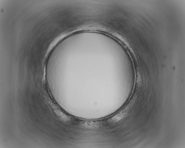 X0000081601366200702051319