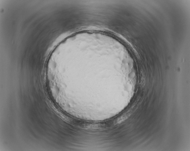 X0000081601367200702051318