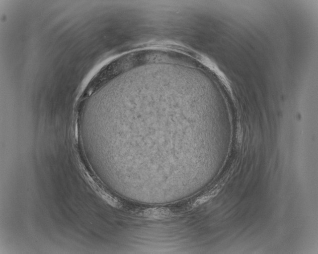 X0000081601368200702051318