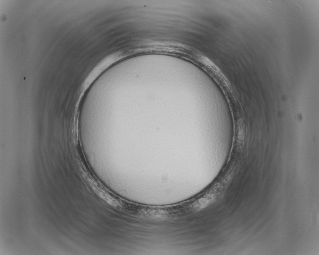 X0000081601370200702051318