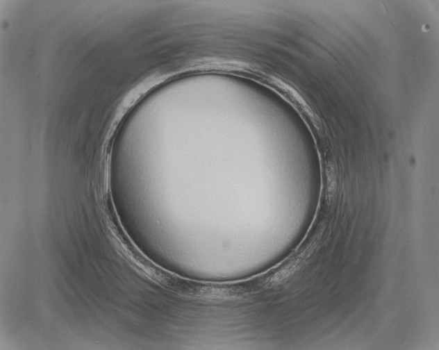 X0000081601371200702051318