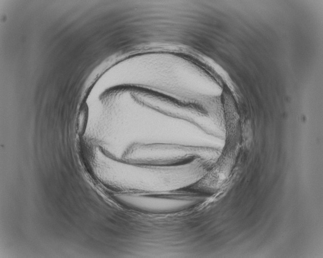 X0000081601373200702051318