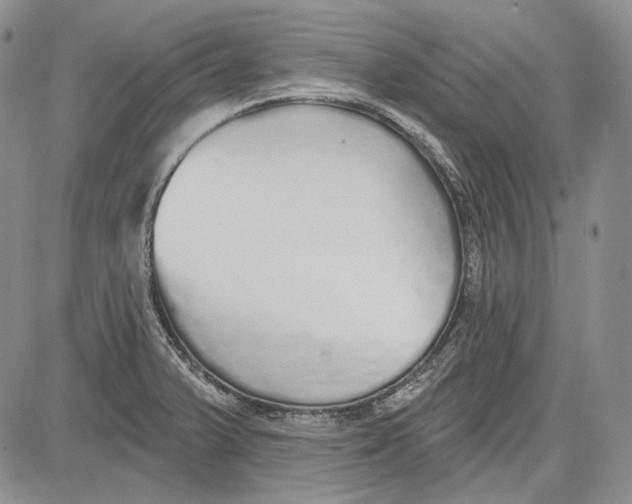 X0000081601375200702051318