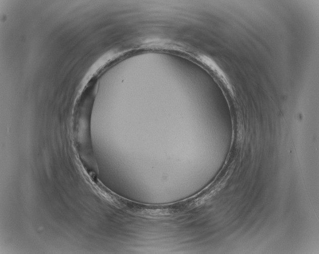 X0000081601376200702051318