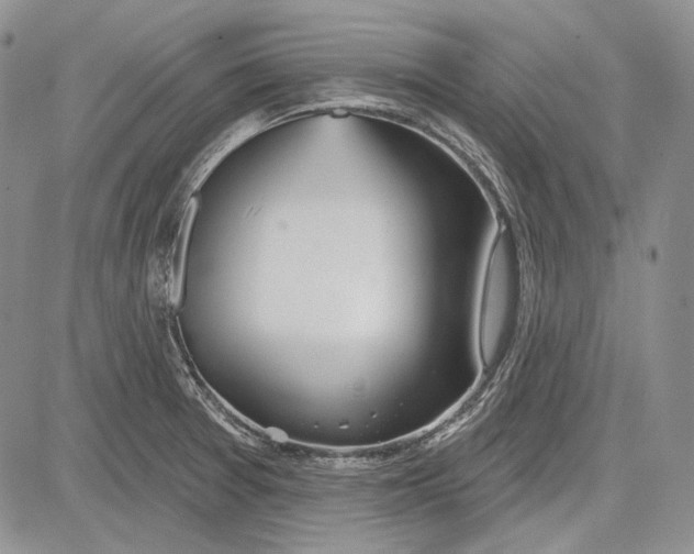 X0000081601377200702051318