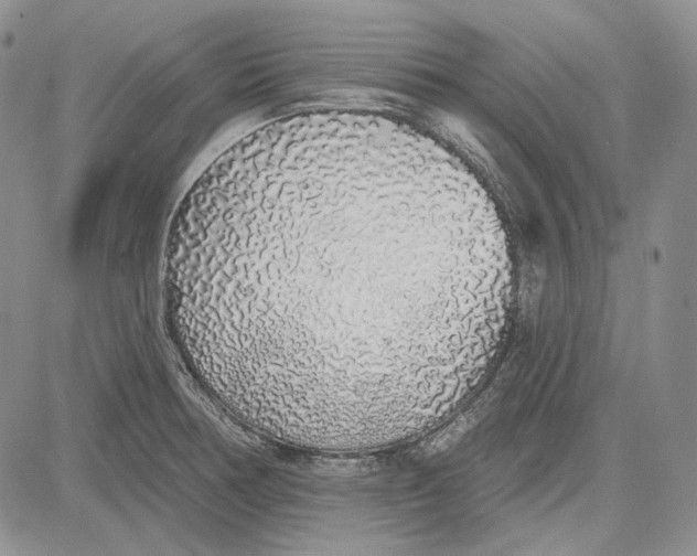 X0000081601378200702051318