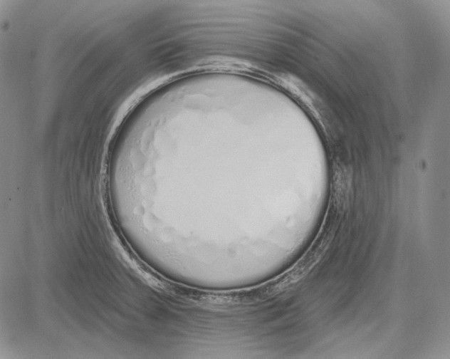 X0000081601379200702051318