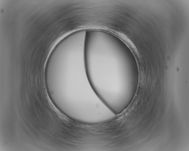 X0000081601380200702051318