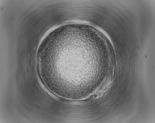 X0000081601381200702051318