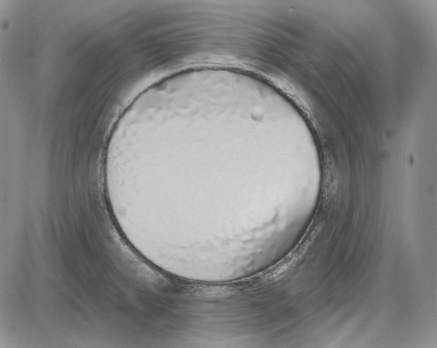 X0000081601382200702051318