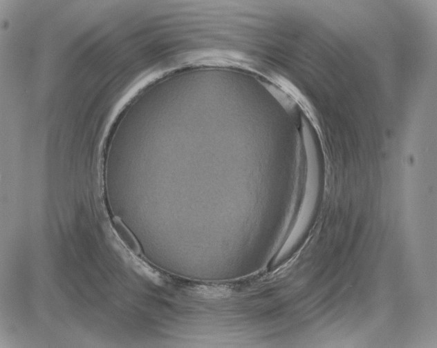 X0000081601384200702051318