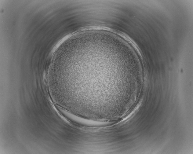 X0000081601385200702051318